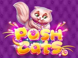 Posh Cats game thumbnail